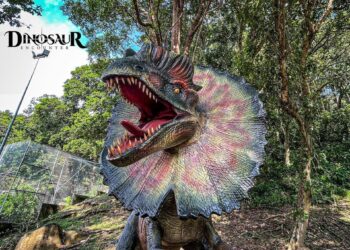 teruntum mini hybrid zoo