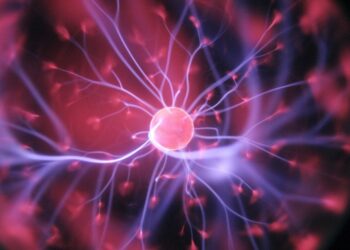 recharge during your study breaks